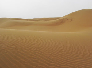desert-11
