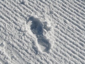 footprints-4