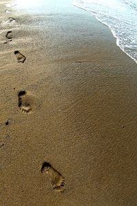 footprints-5
