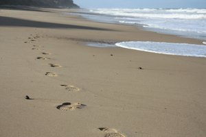 footprints-8