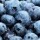 Bilberry – Health Benefits, Uses, Research, Preparation, Precautions