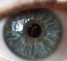 Effective Home Treatment For Eye Stye