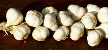 Try Using Garlic For Acne Treatment, Both Internally And Topically